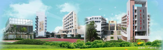 龙高、科高、华附、三高……深圳龙岗区高中怎么选？参考数据呈上