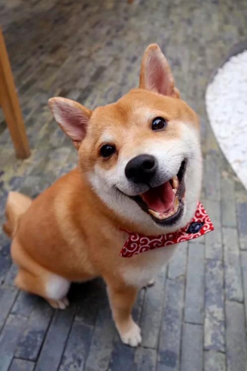 佳能m100微单相机,佳能出门旅游必备镜头