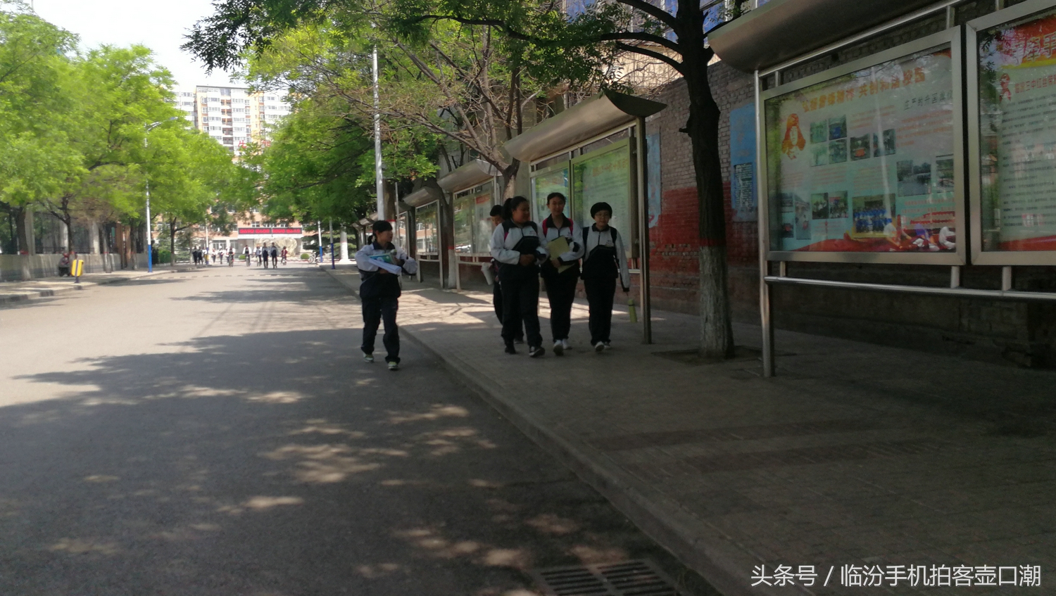 临汾三中校园风光,临汾三中校园