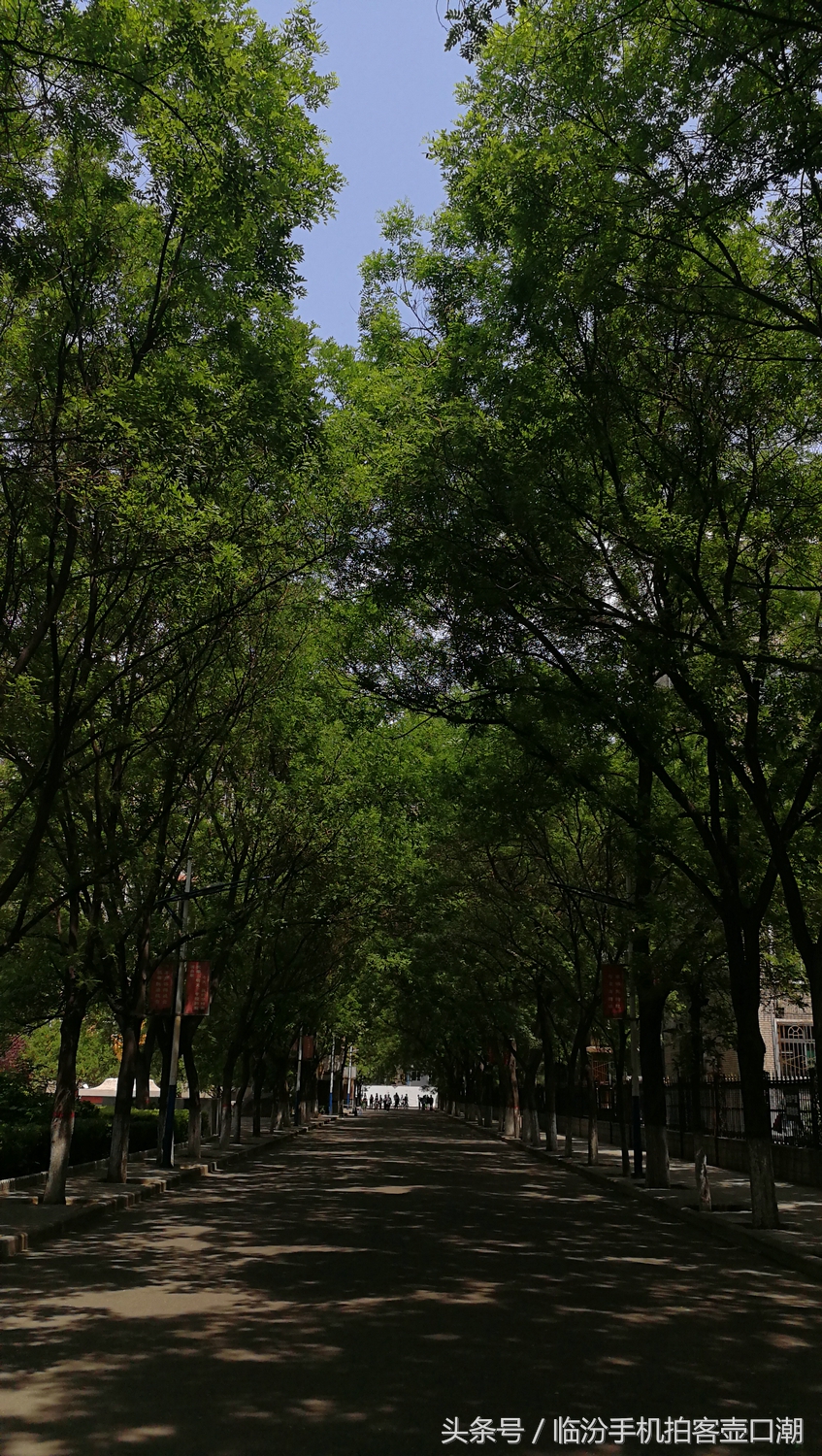 临汾三中校园风光,临汾三中校园