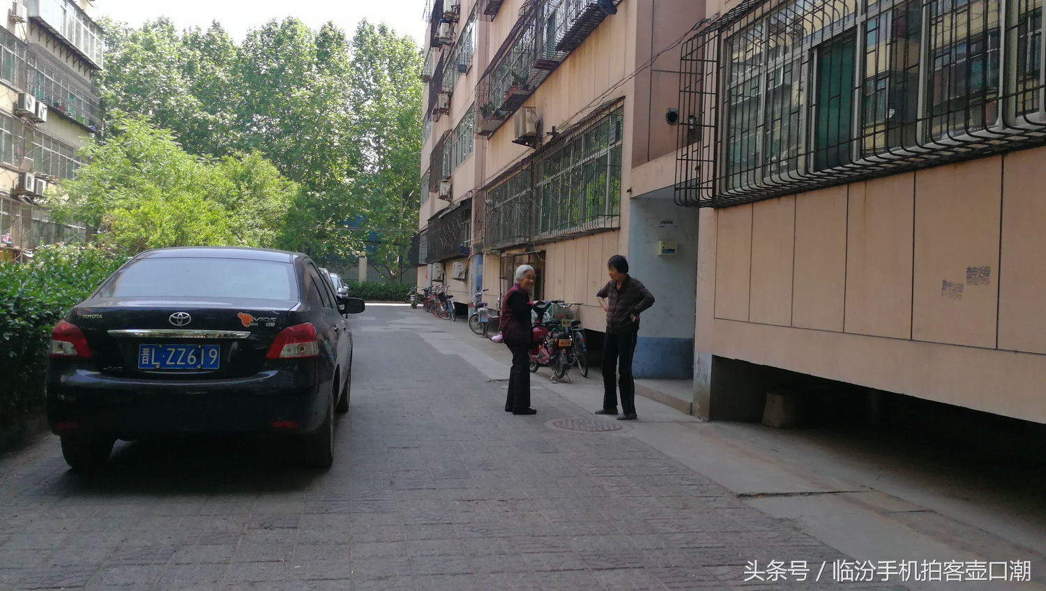 临汾三中校园风光,临汾三中校园