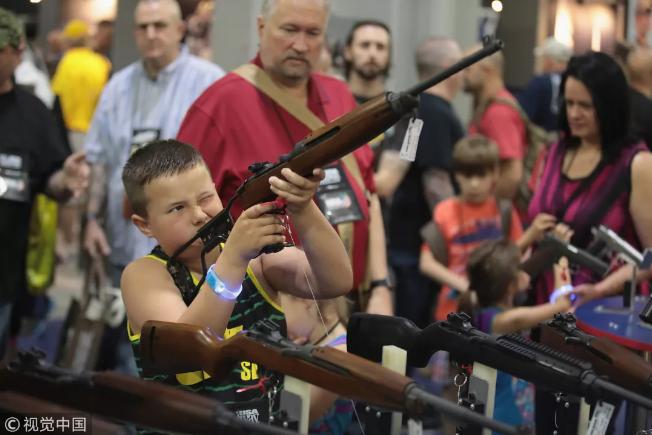 美国控枪法案 (纽约控枪法案)