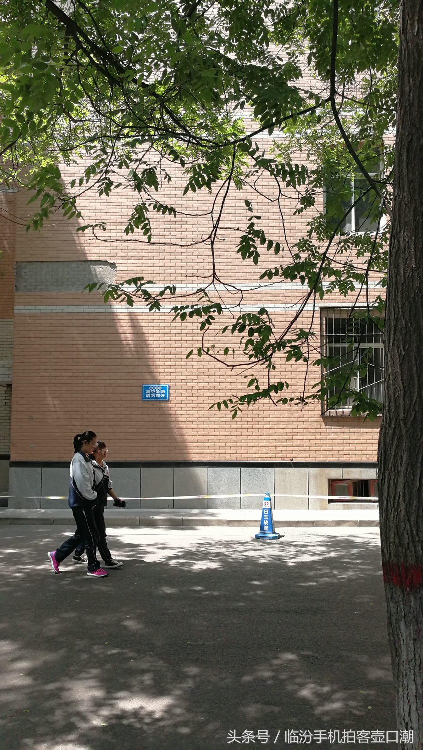 临汾三中校园风光,临汾三中校园