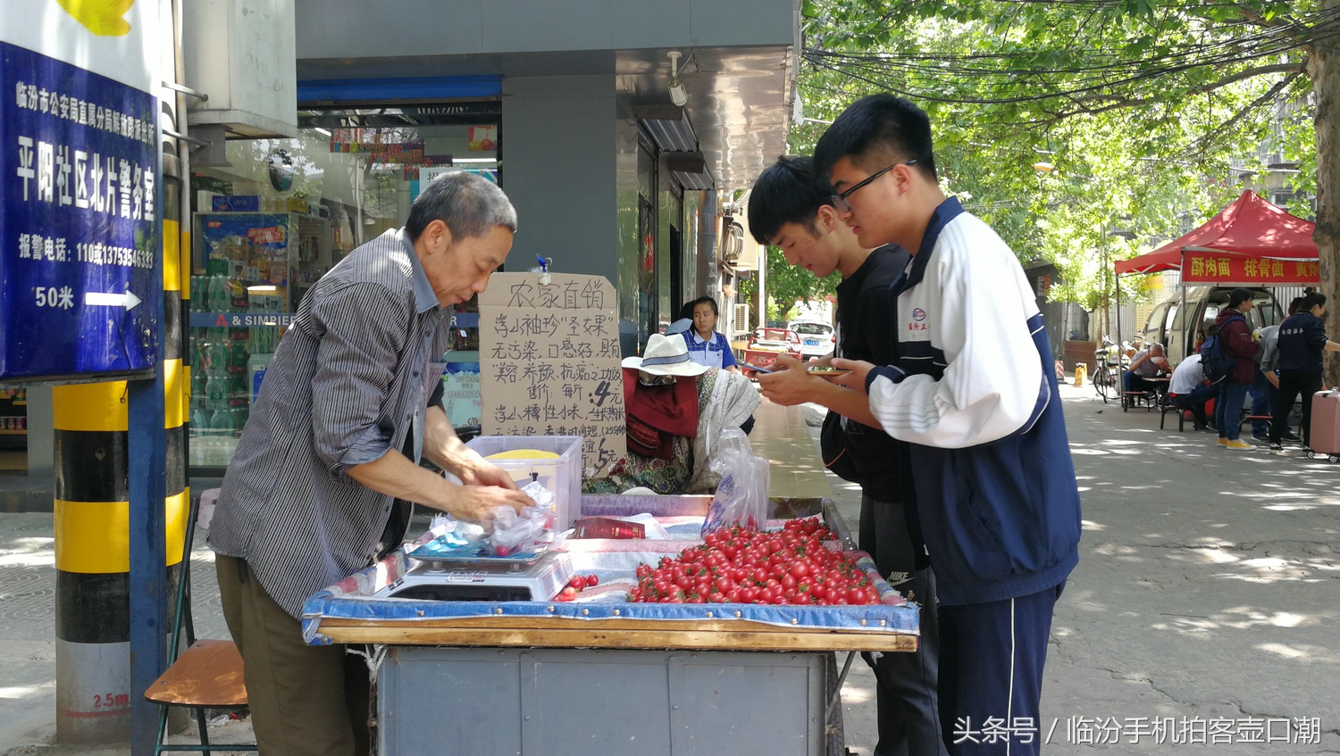 临汾三中校园风光,临汾三中校园