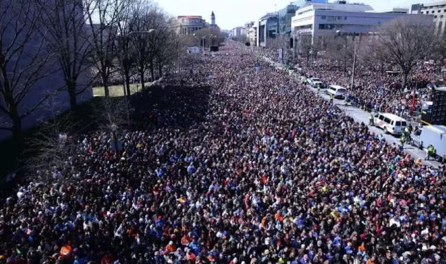 美国控枪法案 (纽约控枪法案)