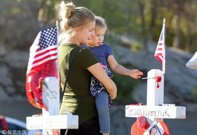 美国控枪法案 (纽约控枪法案)