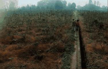 上班好还是种地好,种地和上班哪个辛苦