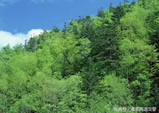 莱芜雪野湖欢迎你地标在哪个位置,莱芜雪野相当于多少个大明湖