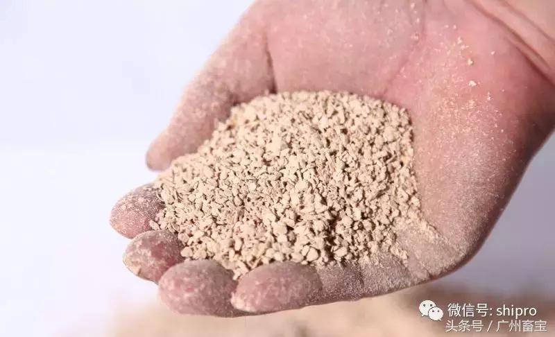 猪场霉菌毒素怎么解决,霉菌毒素猪场如何防治