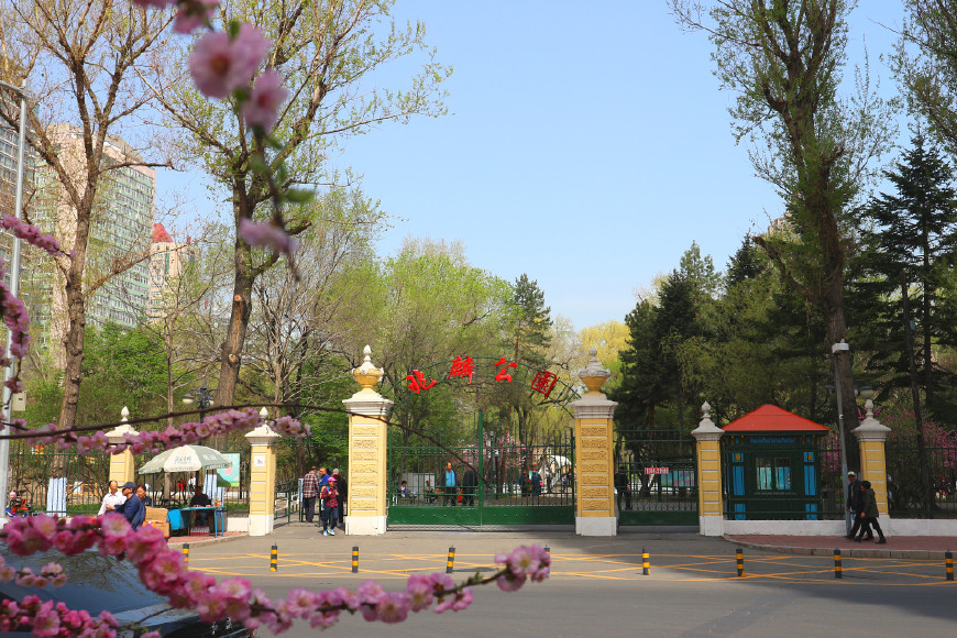 哈尔滨兆麟公园与母校一道之隔，少年时代的顽皮记忆