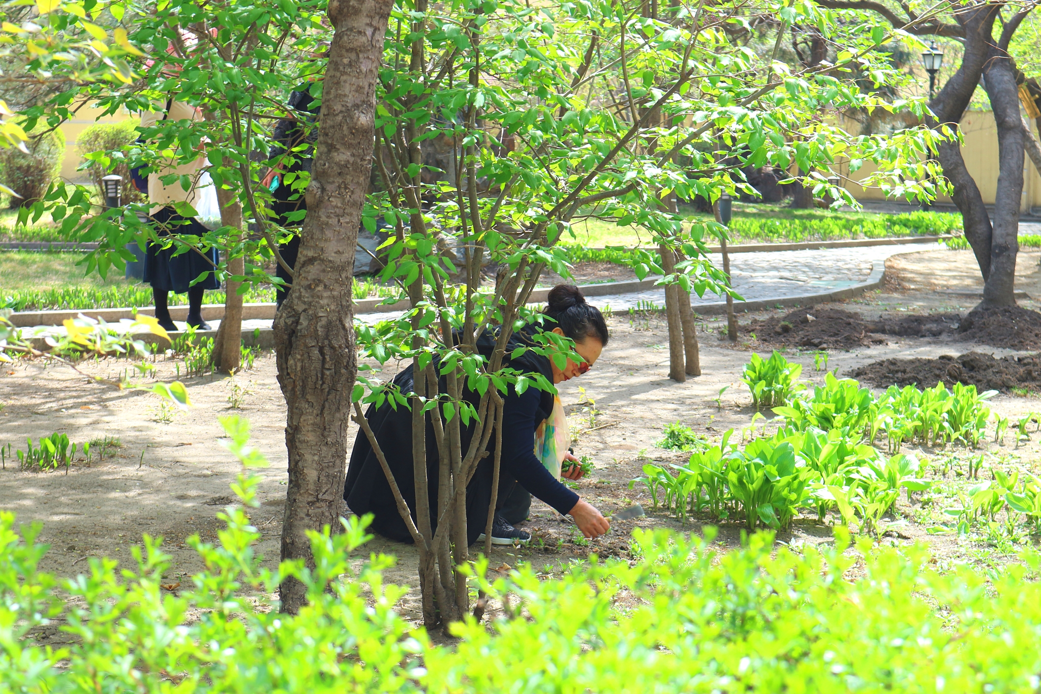 哈尔滨兆麟公园与母校一道之隔，少年时代的顽皮记忆