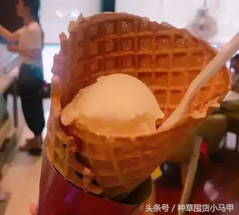 最好吃的冰淇淋是哪一个,最好吃冰淇淋