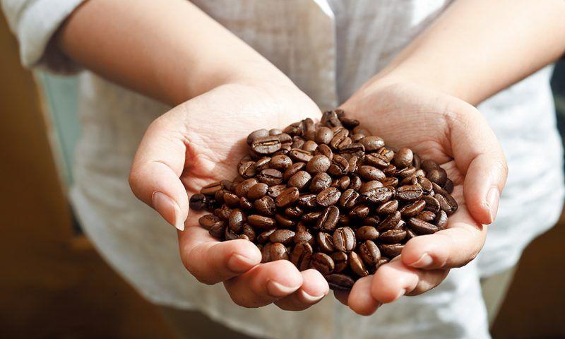 大牌香水推荐入门,香水试香的正确方法视频