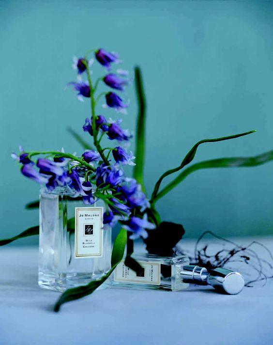 大牌香水推荐入门,香水试香的正确方法视频