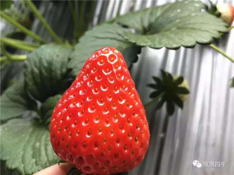 四平五一假期旅游攻略,五一四平攻略