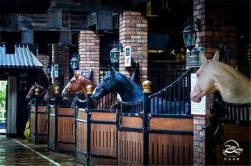 五一出游小短文,五一放假能在疆内游玩吗