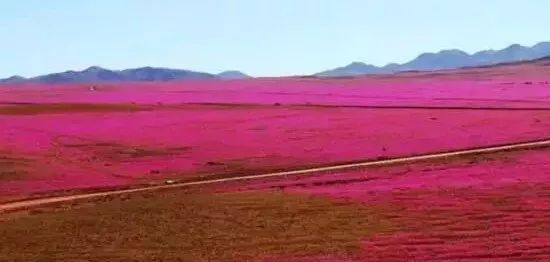 五一出游小短文,五一放假能在疆内游玩吗