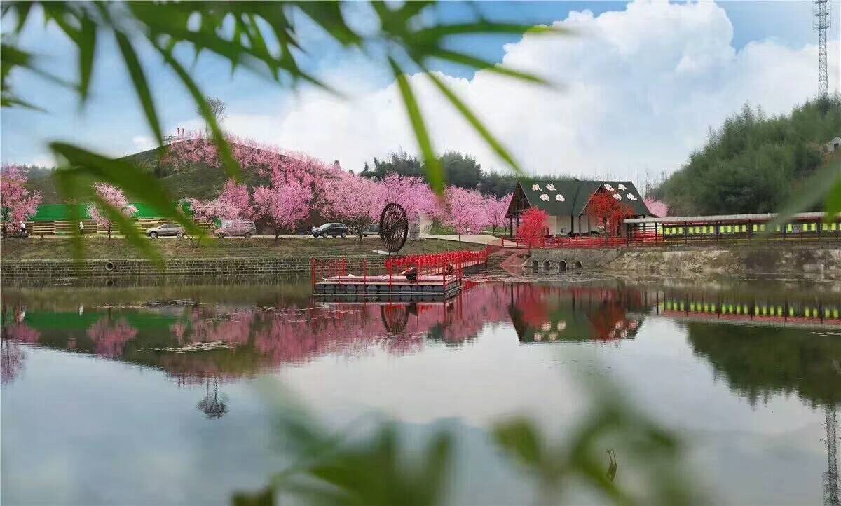 重庆网红玻璃桥玻璃栈道,重庆新网红桥