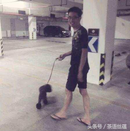 大司马为什么不玩饥荒了,大司马为啥不播吃鸡