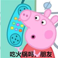 小猪佩奇蹦迪版,小猪佩奇蹦迪原视频