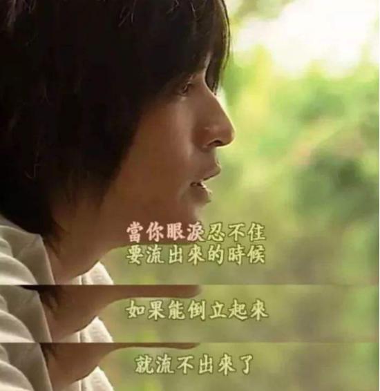 大s调侃杉菜是绿茶完整版,大s杉菜流星花园