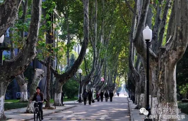 南京有山有水的小众景点,南京小众旅游景点