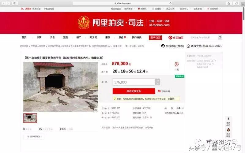 法院网拍活鳄鱼：竞拍者需有合法资质，否则视为悔拍