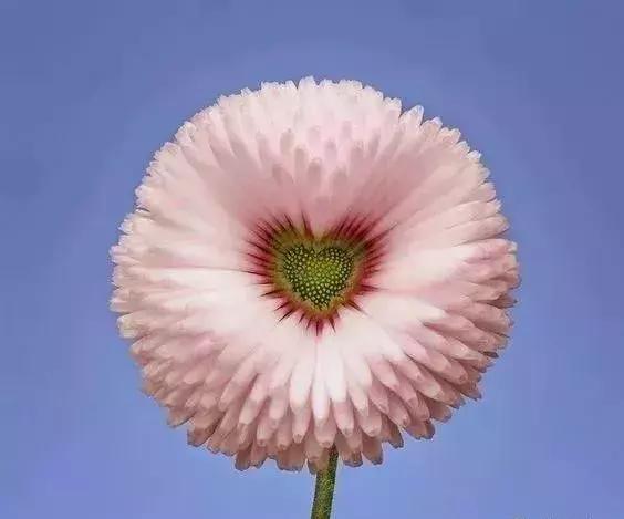 五一聚会的图片可保存,五一微信群图片