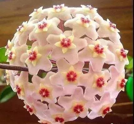 五一聚会的图片可保存,五一微信群图片