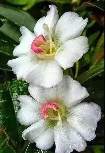 五一聚会的图片可保存,五一微信群图片