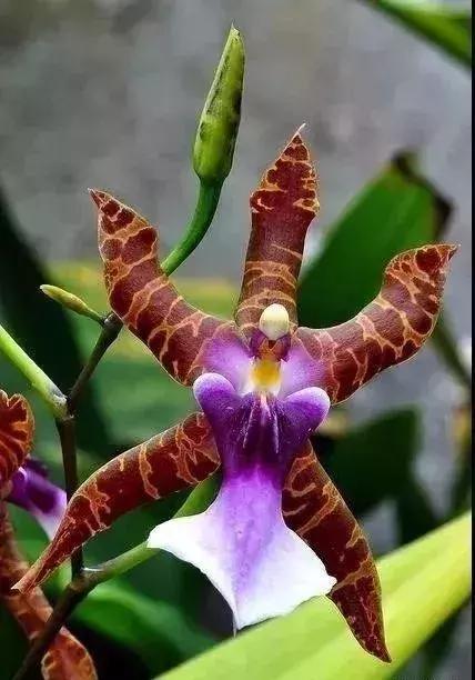 五一聚会的图片可保存,五一微信群图片