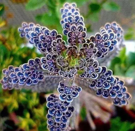 五一聚会的图片可保存,五一微信群图片