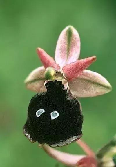 五一聚会的图片可保存,五一微信群图片