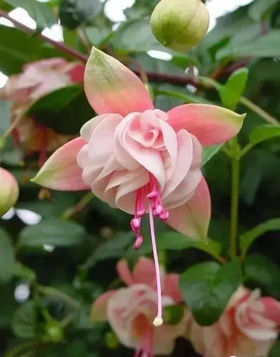 五一聚会的图片可保存,五一微信群图片