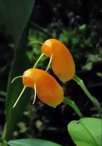 五一聚会的图片可保存,五一微信群图片