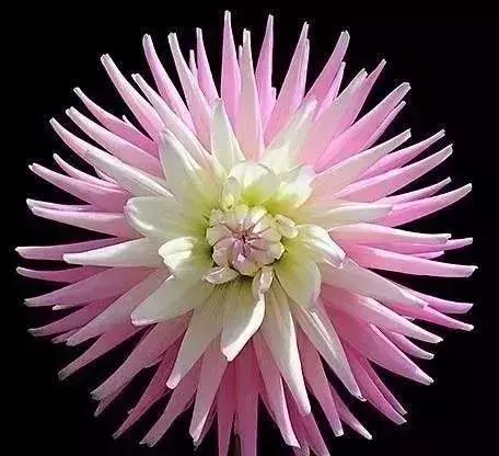 五一聚会的图片可保存,五一微信群图片