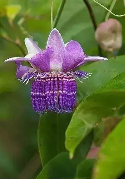 五一聚会的图片可保存,五一微信群图片