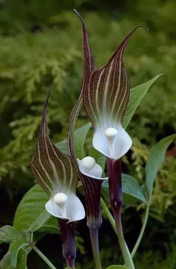 五一聚会的图片可保存,五一微信群图片