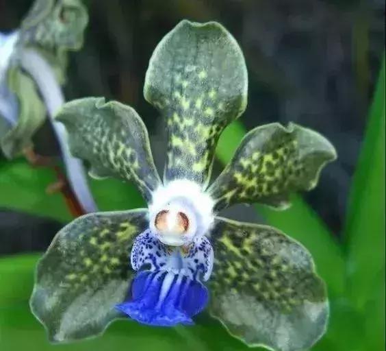 五一聚会的图片可保存,五一微信群图片