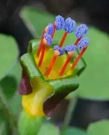 五一聚会的图片可保存,五一微信群图片