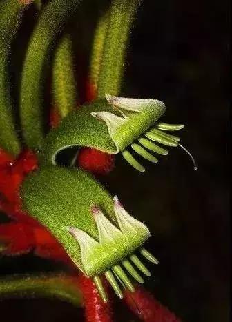 五一聚会的图片可保存,五一微信群图片