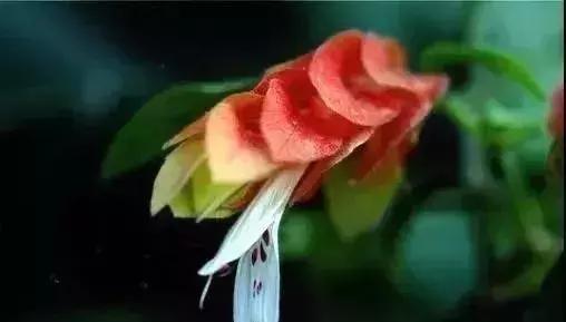 五一聚会的图片可保存,五一微信群图片