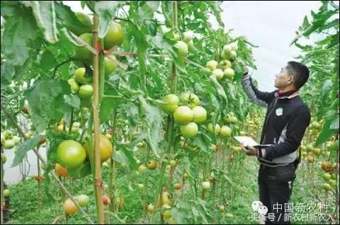 农业想赚钱商业模式是关键,农业创业技术大全