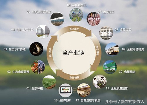 农业想赚钱商业模式是关键,农业创业技术大全