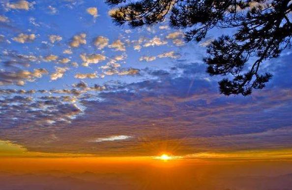 李白为什么被罢官,李白为什么被贬官