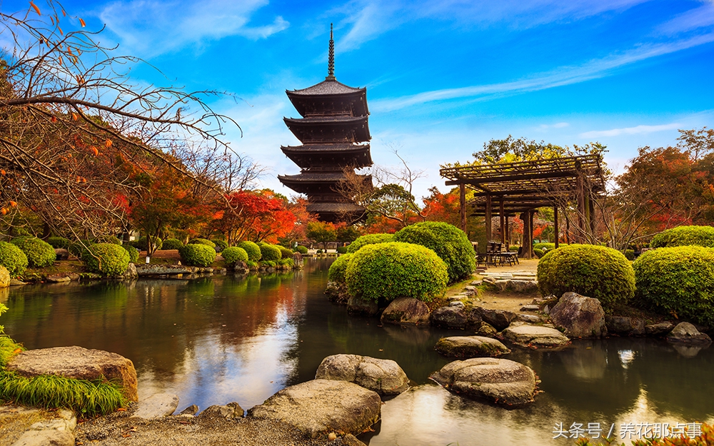 全球第一最浪漫的城市,全球最美54个浪漫城市