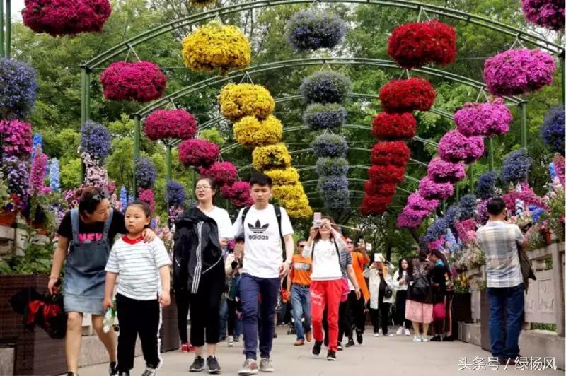 瘦西湖景区门票优惠条件,瘦西湖等国有景区全部免费开放