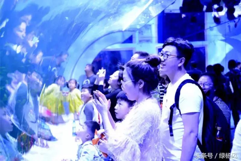 瘦西湖景区门票优惠条件,瘦西湖等国有景区全部免费开放