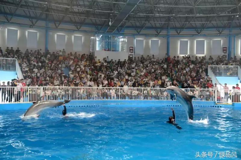 瘦西湖景区门票优惠条件,瘦西湖等国有景区全部免费开放