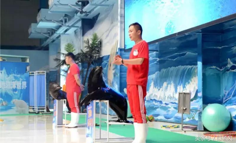 瘦西湖景区门票优惠条件,瘦西湖等国有景区全部免费开放